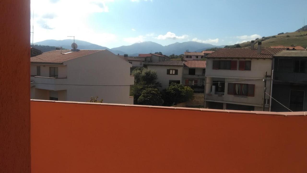 L'abete * Guspini